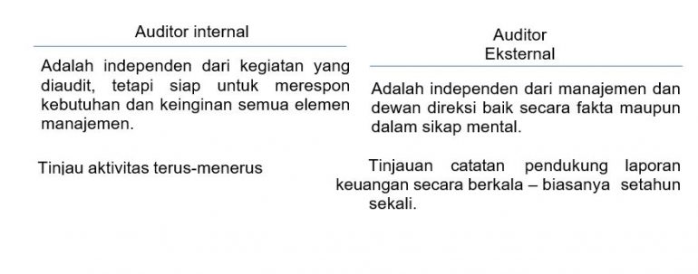 Perbedaan Internal Dan Eksternal Auditor Imagesee